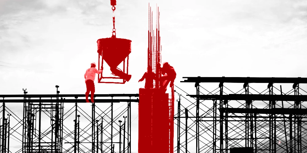 case studies subjects (2)