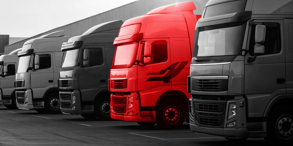 case studies subjects (3)